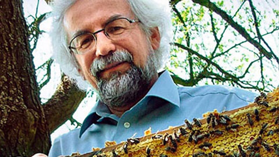 The Nest of a Honey Bee with Professor Jürgen Tautz