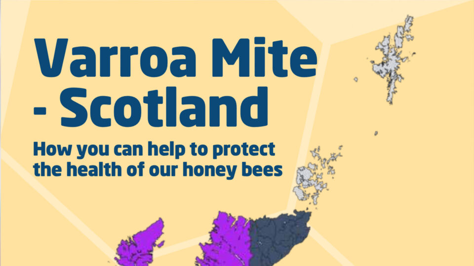Download the Varroa Mite &#8211; Scotland Map
