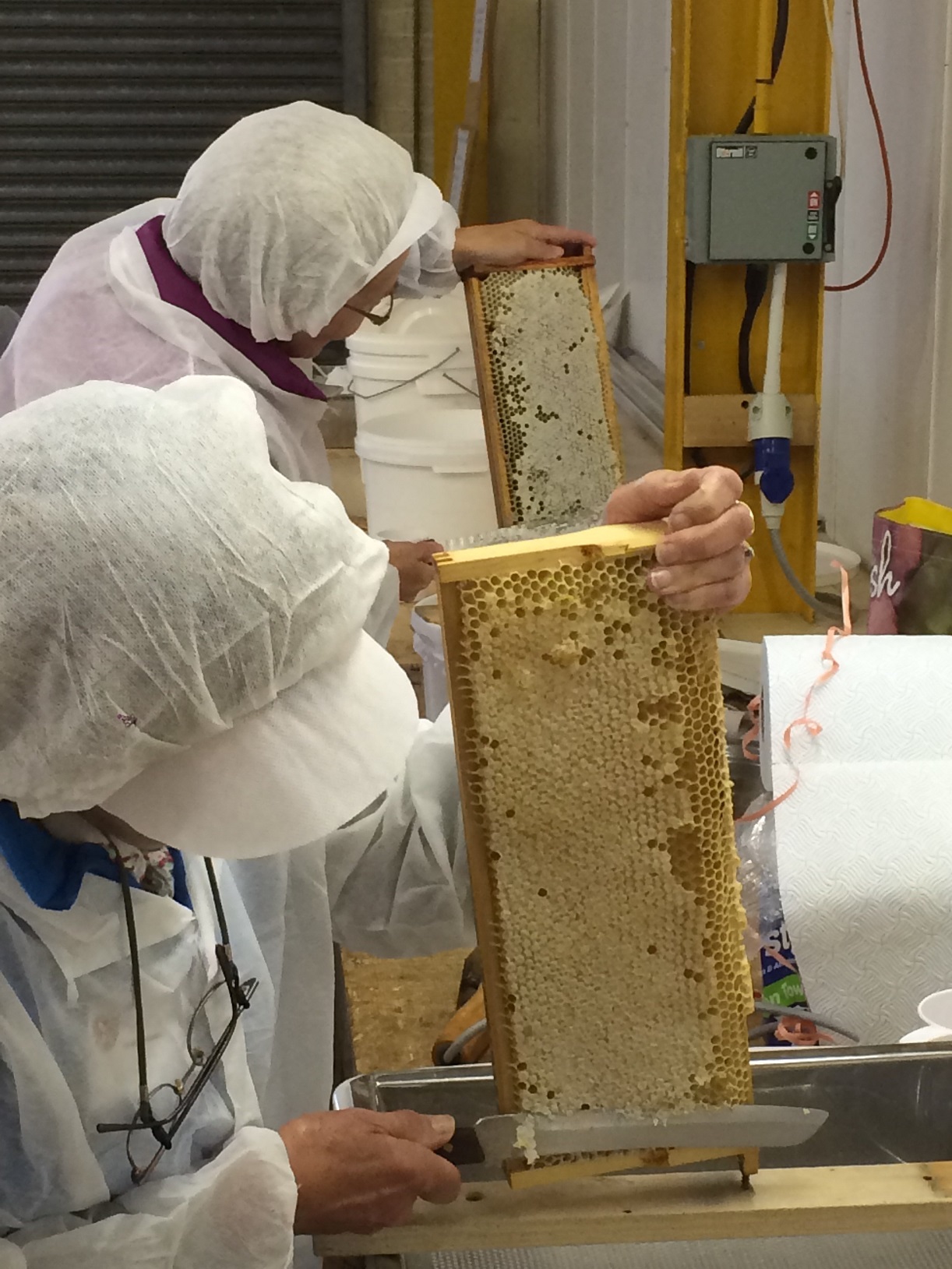 Beekeepers in clean suits extracting honey from frames