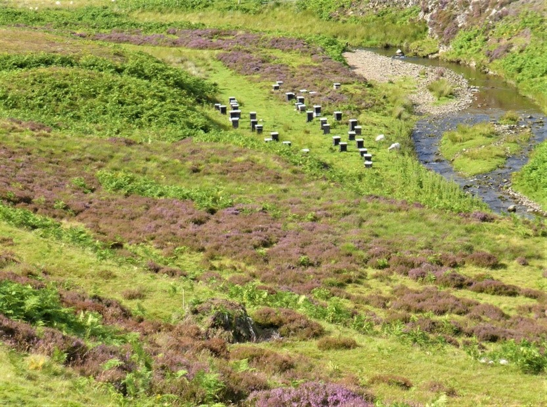 Scottish Government Update BeeBase Records