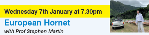 Blue and yellow banner with title European Hornet and picture of man with hives Prof Martin