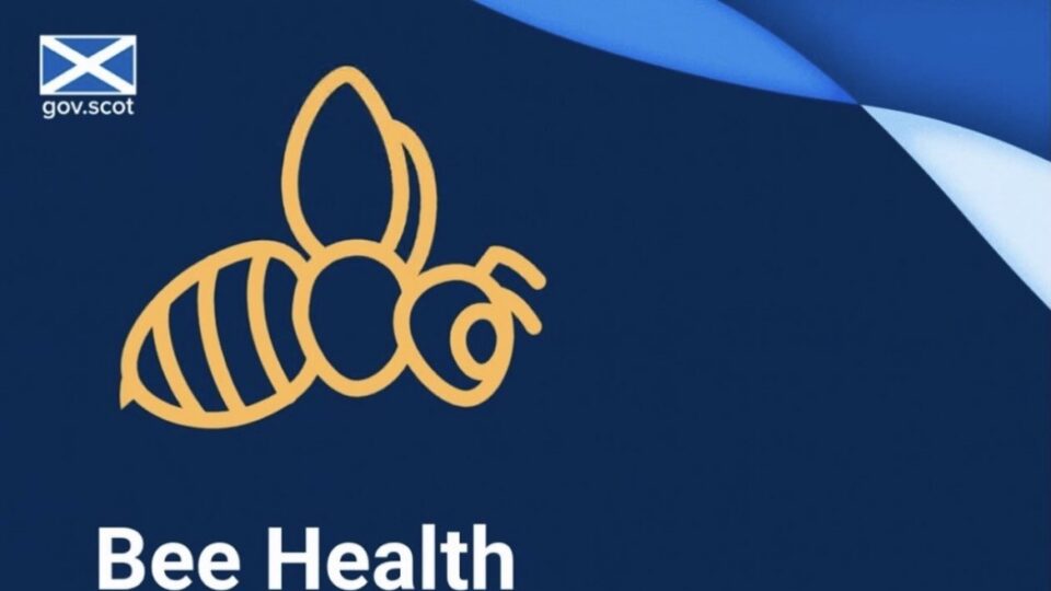 2025 BHIP Annual Report